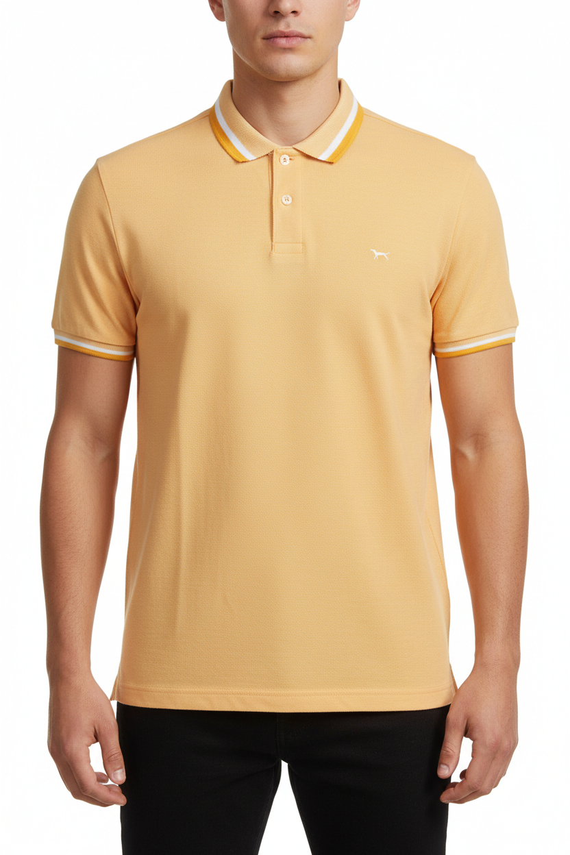 Harmont &Amp; Blaine Polo