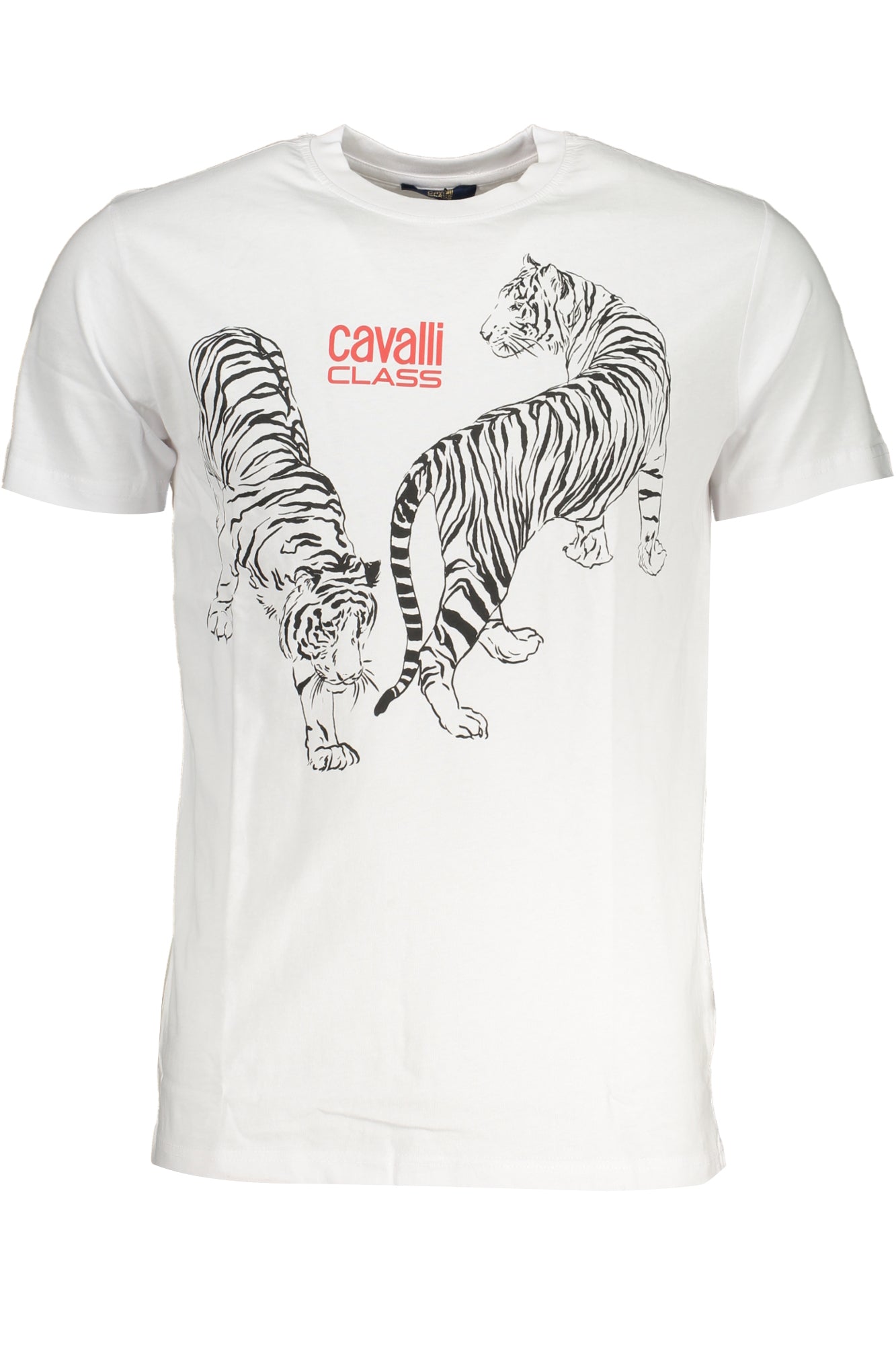 CAVALLI CLASS T-SHIRT