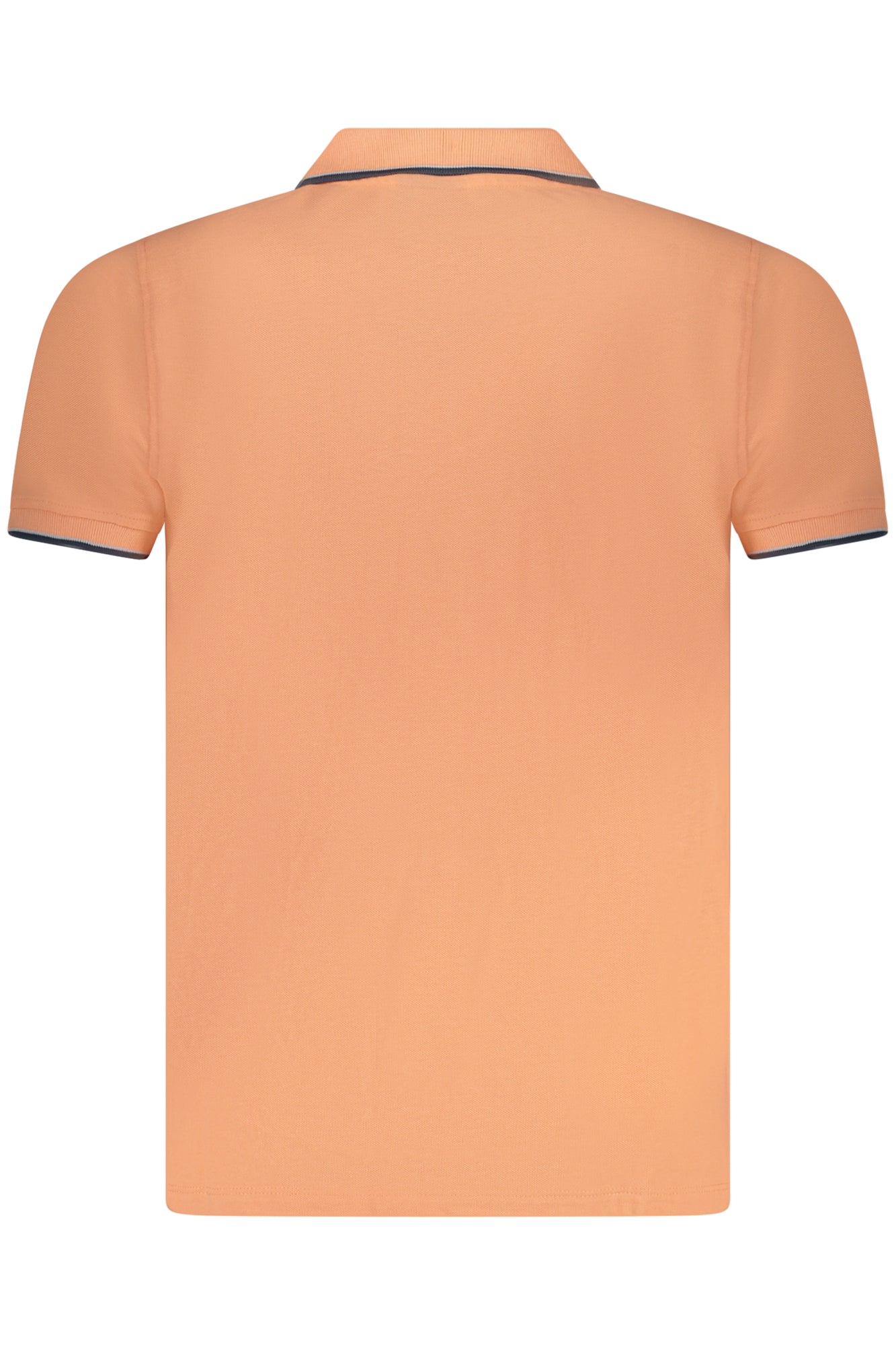 NORWAY 1963 838862_RSPEACH Rosa